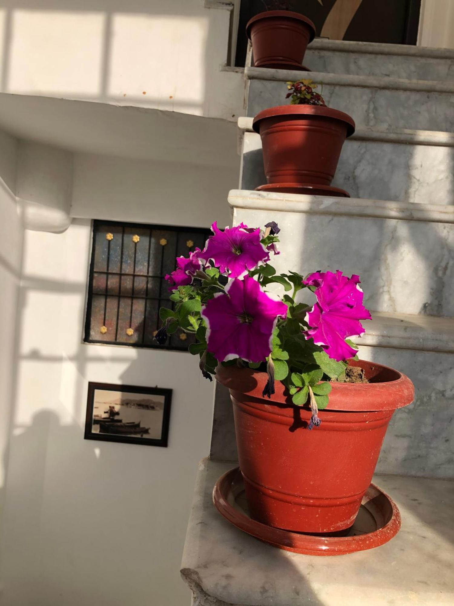 Hotel Nirvana Lakeside Udaipur Extérieur photo